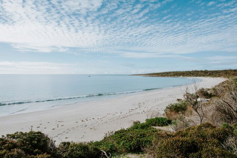 Glamping @ September Beach, Lincoln National Park - Sydney Tourism 2