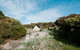 Glamping @ September Beach, Lincoln National Park - thumb 1