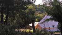 Book Zeehan Accommodation Vacations Sydney Tourism Sydney Tourism