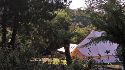 Glamping At Zeehan Bush Camp - Sydney Tourism 0