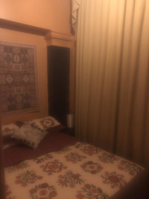 Globe Guesthouse - Sydney Tourism 2
