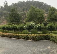 Guinevere - Sydney Tourism