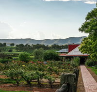 Hanging Tree Wines - Sydney Tourism