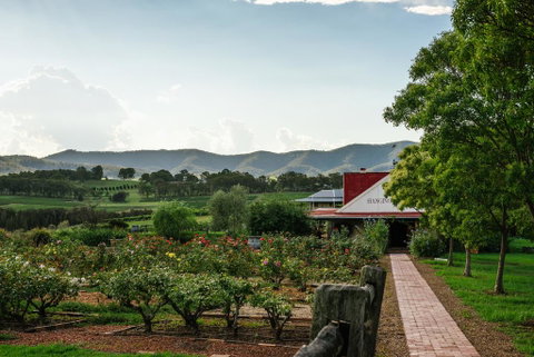 Hanging Tree Wines - Sydney Tourism 0