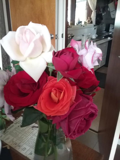 Heywood Motor Inn - Sydney Tourism 2