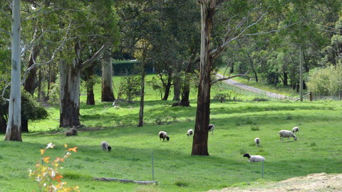 JAN'S ART STUDIO AT ASHBY RISE - Sydney Tourism 0