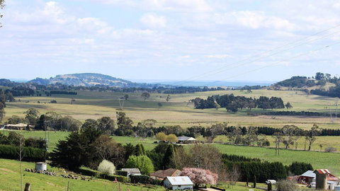JAN'S ART STUDIO AT ASHBY RISE - Sydney Tourism 2