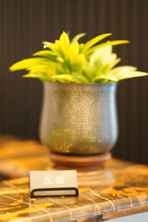 Jephson Hotel & Apartments - Sydney Tourism 3
