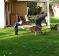 Kalgan River Chalets and Caravan Park - Sydney Tourism