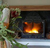 KOALA GULLY - Sydney Tourism