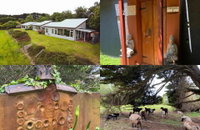 Book Kongwak Accommodation Vacations Sydney Tourism Sydney Tourism