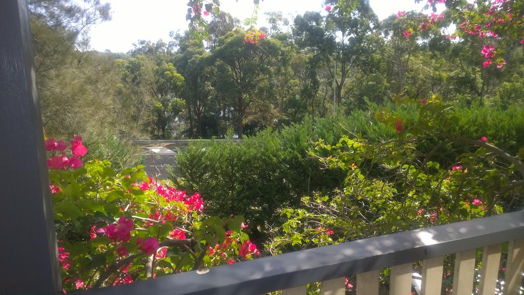 Linley Point NSW Sydney Tourism