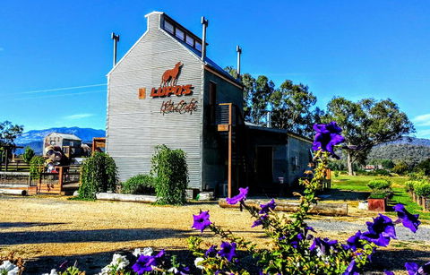 Lupos Loft - Sydney Tourism 1
