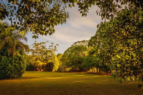 Malanda Lodge - Sydney Tourism 1