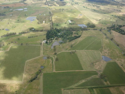 Mayfield Vineyard - Sydney Tourism 0