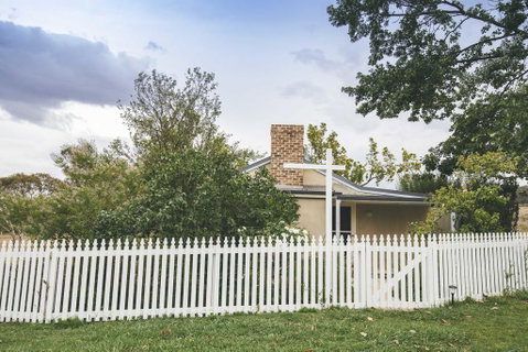 Mayfield Vineyard - Sydney Tourism 1