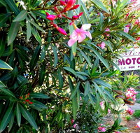 Mercury motor inn - Sydney Tourism