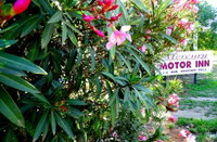 Mercury motor inn