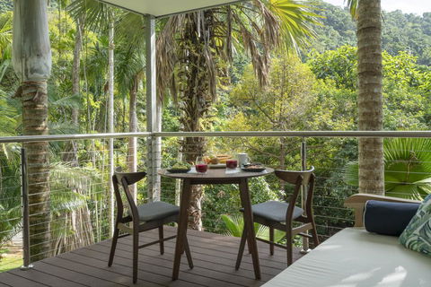Mist At Cape Tribulation - Sydney Tourism 2