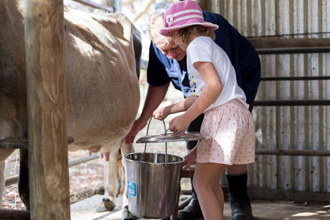 Misty Valley Country Cottages - Sydney Tourism 1