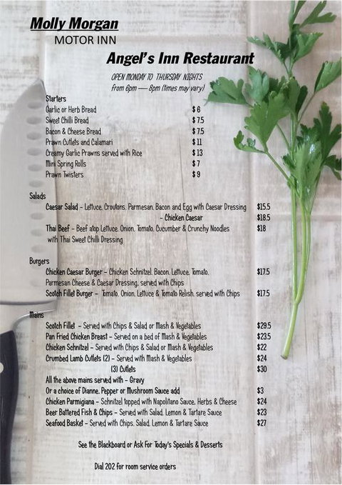 Molly Morgan Motor Inn - Sydney Tourism 3