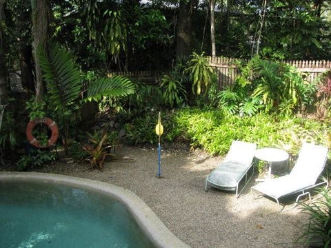 Mossman Gorge Bed And Breakfast - Sydney Tourism 1