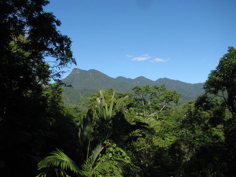Mossman Gorge Bed And Breakfast - Sydney Tourism 0