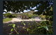 Mount Beauty Motor Inn - thumb 0