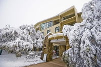 Mt Buller Chalet Hotel  Suites