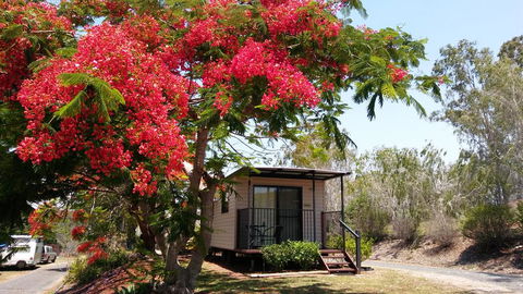 Mt Larcom Tourist Park - Sydney Tourism 0