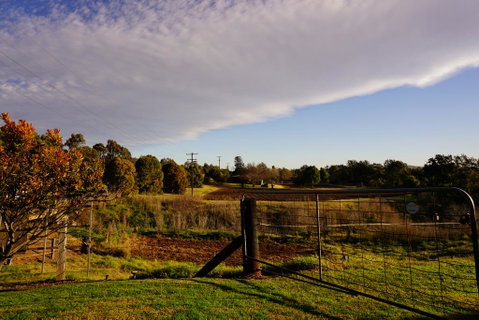 Muswellbrook Northside B&B - Sydney Tourism 3