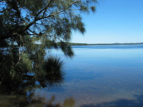 Myall River Magic - Sydney Tourism 1