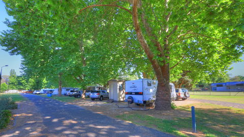 Myrtleford Holiday Park - Sydney Tourism 1