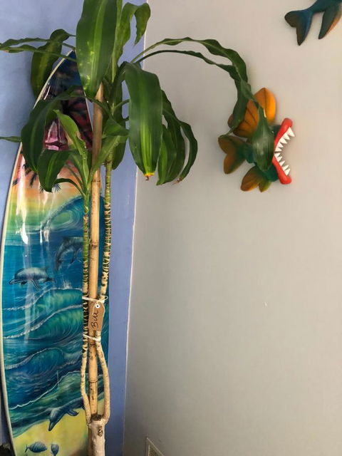 BeachHideaway@Scarborough - Sydney Tourism 28