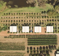 Swan Valley Sisters