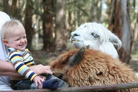 Margaret River Hideaway & Farmstay - Sydney Tourism 21