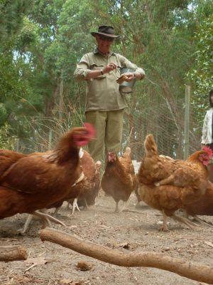 Margaret River Hideaway & Farmstay - Sydney Tourism 28