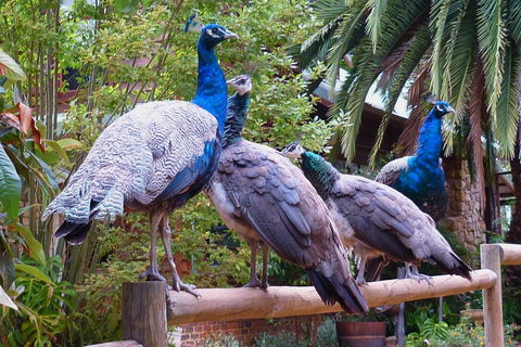 Margaret River Hideaway & Farmstay - Sydney Tourism 19