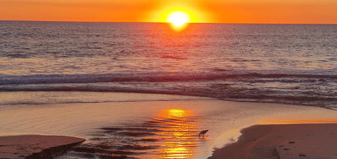 Seashore Memories - Sleeps 3 - Sydney Tourism 25