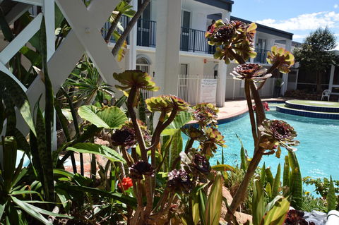 Seashore Memories - Sleeps 3 - Sydney Tourism 14