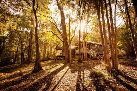 Riverglen Chalets - Sydney Tourism 0