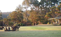 Book Walpole Accommodation Vacations Sydney Tourism Sydney Tourism