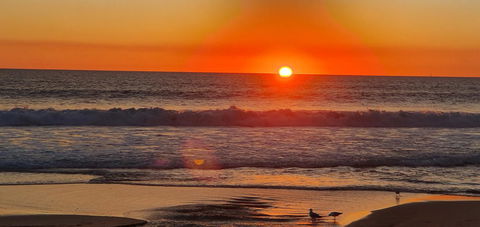 West Beach Lagoon 208 â€“ Great Value! - Sydney Tourism 25