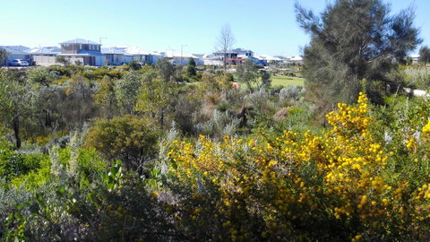 Alkimos Beach Cottage - Sydney Tourism 3