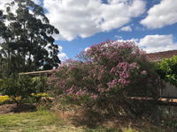 Book Cockburn Central Accommodation Vacations Sydney Tourism Sydney Tourism