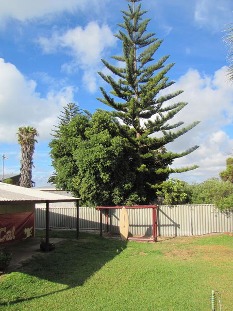 Ocean View Retreat - Sydney Tourism 23