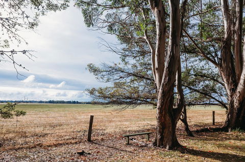 Margaret River Holiday Cottages - Sydney Tourism 22
