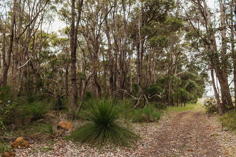 Margaret River Holiday Cottages - Sydney Tourism 31
