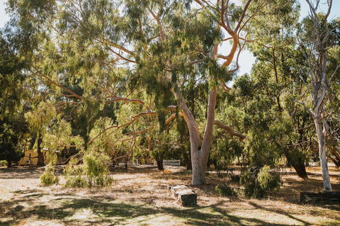 Margaret River Holiday Cottages - Sydney Tourism 16