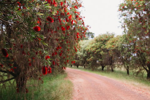 Margaret River Holiday Cottages - Sydney Tourism 17